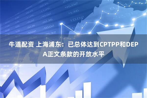 牛道配资 上海浦东：已总体达到CPTPP和DEPA正文条款的开放水平