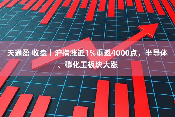 天通盈 收盘丨沪指涨近1%重返4000点，半导体、磷化工板块大涨