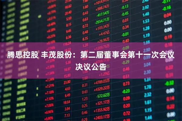 腾思控股 丰茂股份：第二届董事会第十一次会议决议公告