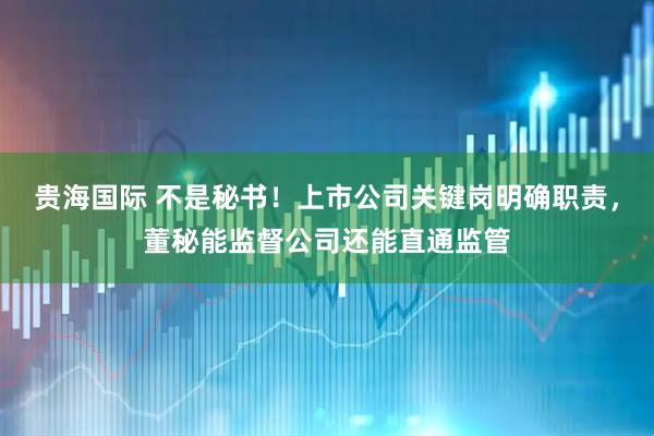 贵海国际 不是秘书！上市公司关键岗明确职责，董秘能监督公司还能直通监管