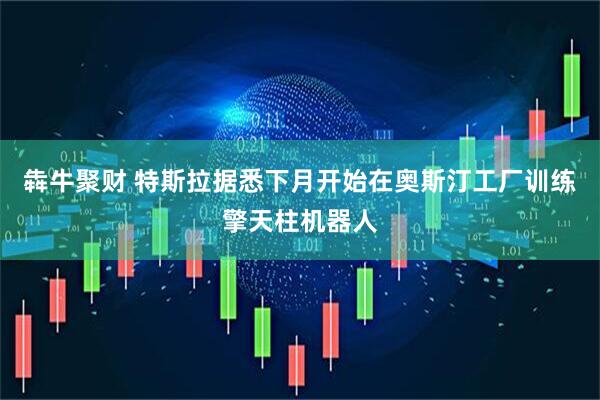 犇牛聚财 特斯拉据悉下月开始在奥斯汀工厂训练擎天柱机器人