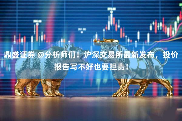 鼎盛证券 @分析师们！沪深交易所最新发布，投价报告写不好也要担责！