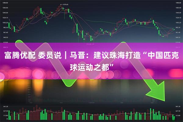 富腾优配 委员说｜马晋：建议珠海打造“中国匹克球运动之都”