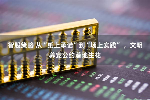 智股策略 从“纸上承诺”到“场上实践” ，文明养宠公约落地生花