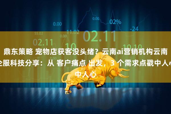 鼎东策略 宠物店获客没头绪？云南ai营销机构云南企服科技分享：从 客户痛点 出发，3 个需求点戳中人心