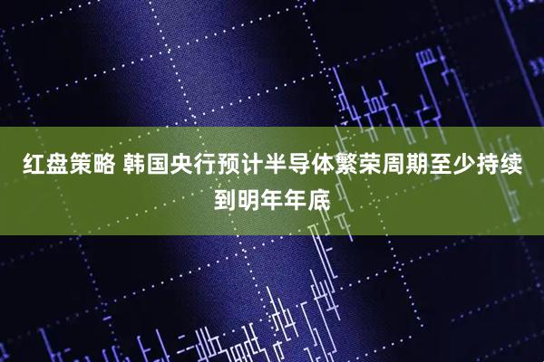 红盘策略 韩国央行预计半导体繁荣周期至少持续到明年年底