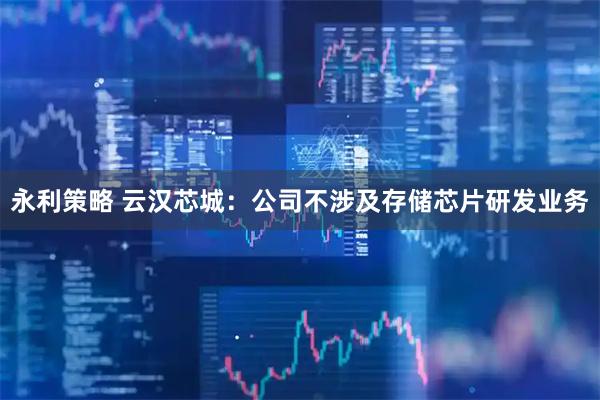 永利策略 云汉芯城：公司不涉及存储芯片研发业务